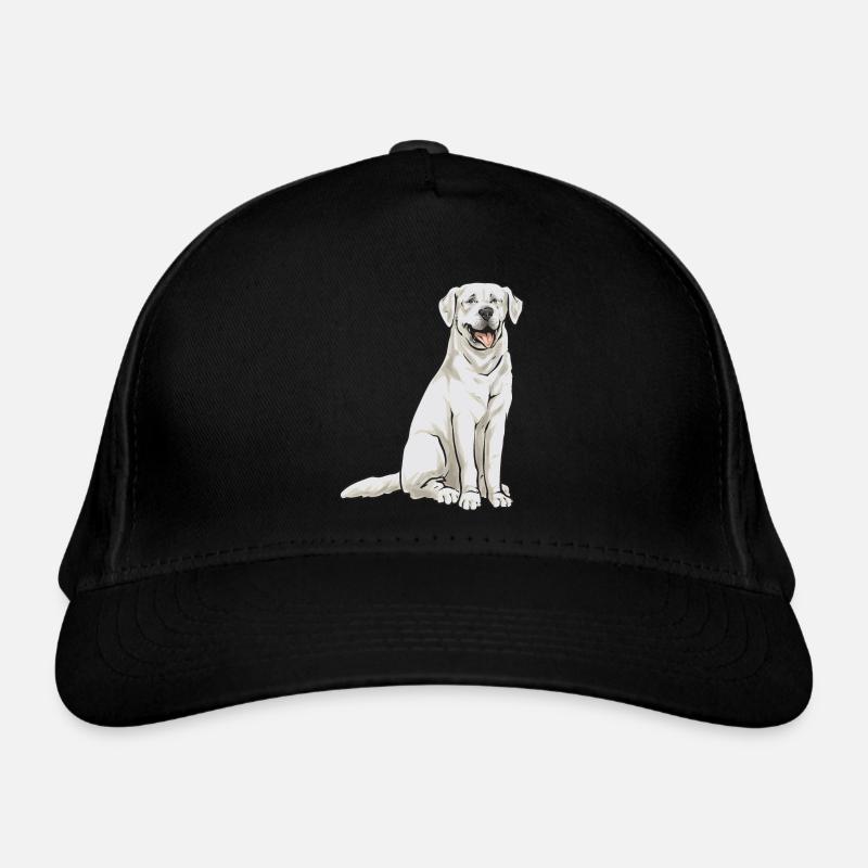 Labrador Retriever blanc Labrador Labrador blanc Casquette classique bio