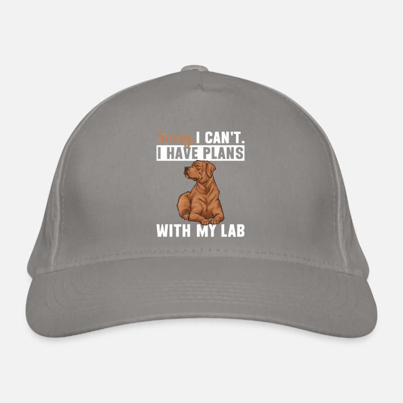 Fuchsroter Labrador Retriever Fox Labrador rouge Casquette classique bio