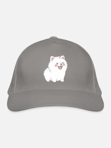 Spitz - Organic Baseball Cap - light grey - Front