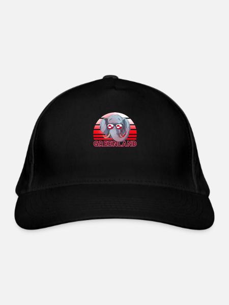Groenland - Casquette classique bio - noir - Devant