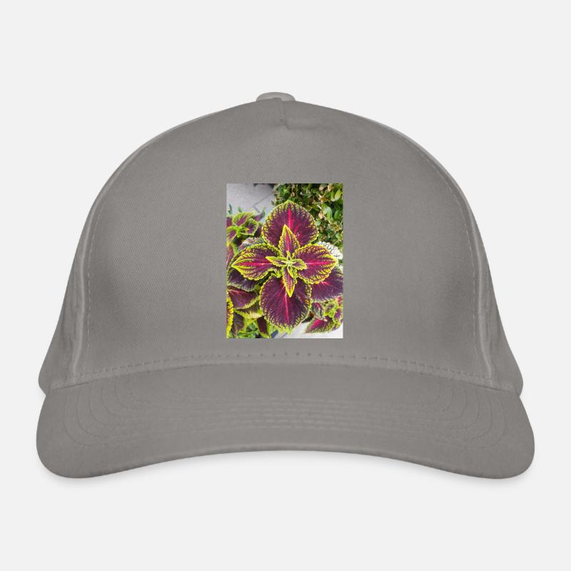 Joseph's coat also Chinese amaranth Organic Baseball Cap