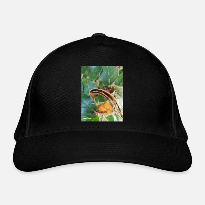 Ladybug in leaves Organic Baseball Cap