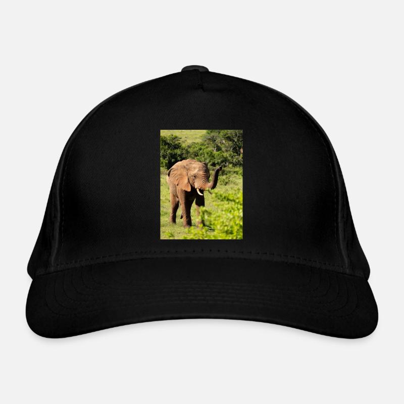 Organic Baseball Cap
