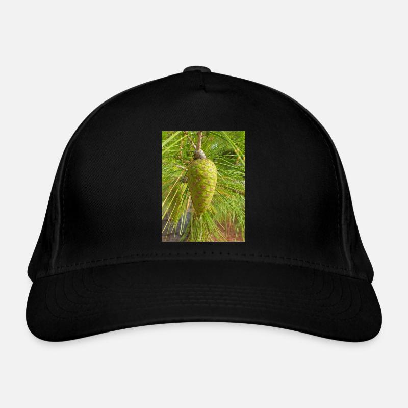 Aleppo pine also Jerusalem pine Aleppo-Kiefer Organic Baseball Cap