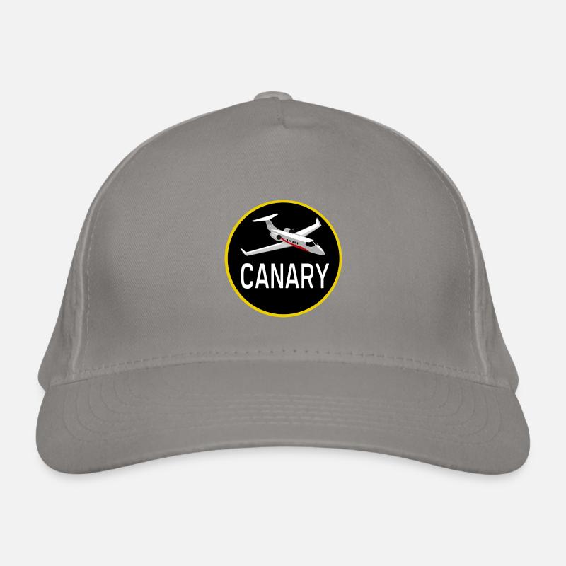 Aviation plane spotting Canary plane Organic Baseball Cap