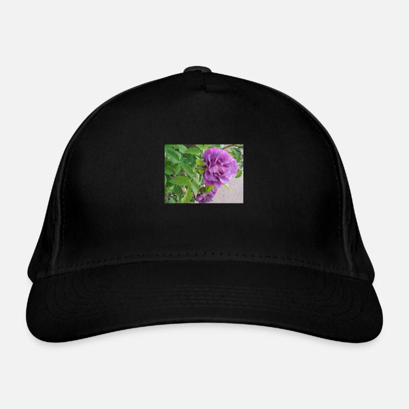 Rose blossom violet - green leaves Organic Baseball Cap