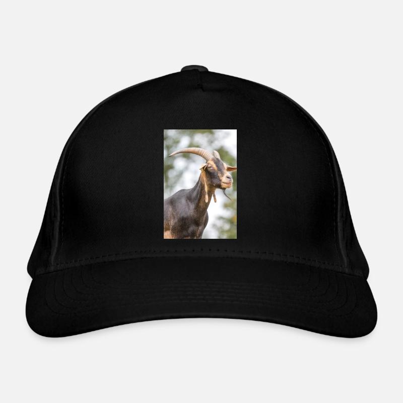 Chèvre (caprine, capra) brune et noire Casquette classique bio