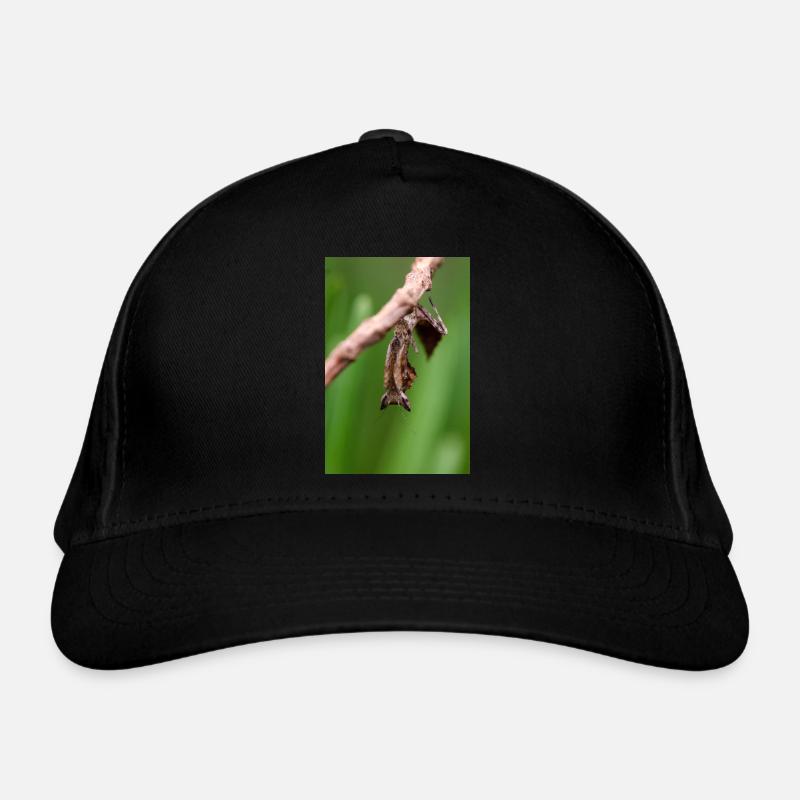 Brancsikia freyi Nymph/Cub Organic Baseball Cap