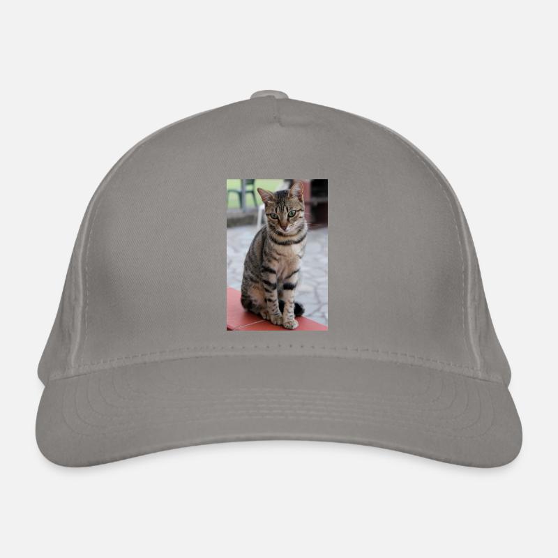 Cat Kitten Poster Cat Poster Organic Baseball Cap