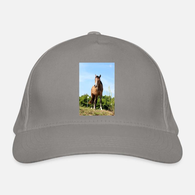 Affiche Cheval Cheval Casquette classique bio