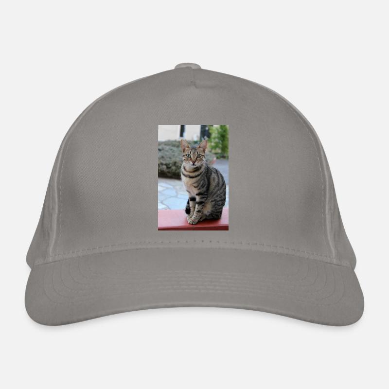 cat, kitten Organic Baseball Cap