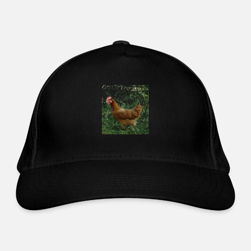 Poulet Casquette classique bio