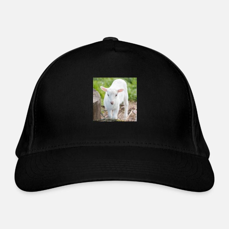 Agneau agneau Casquette classique bio