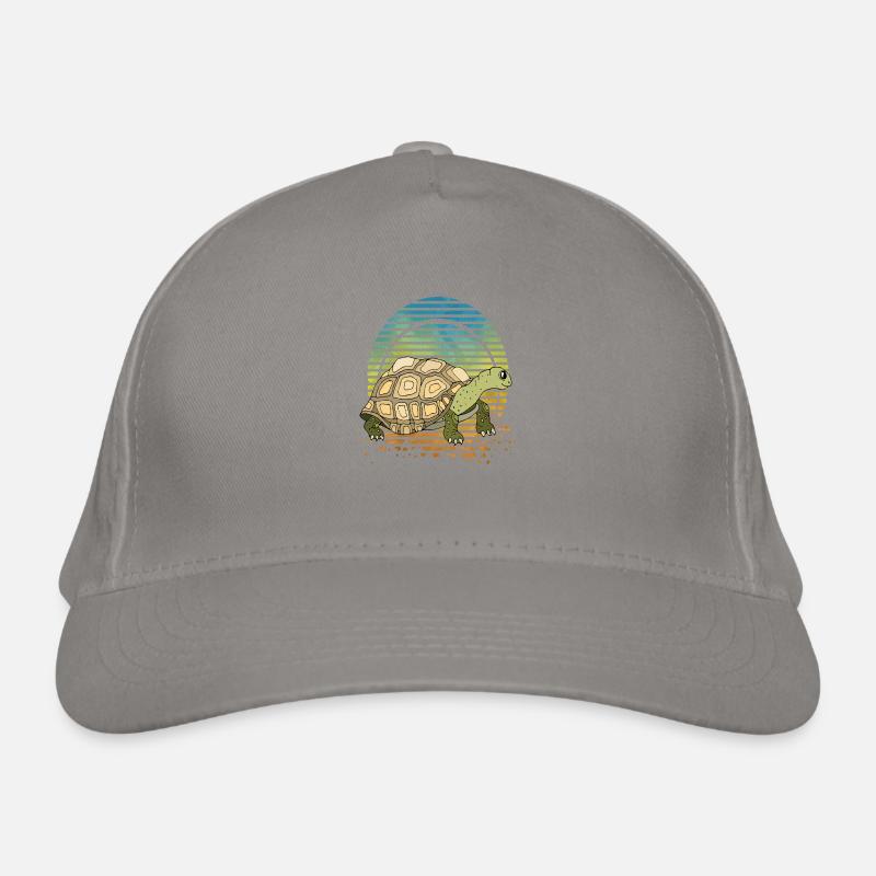 Tortue Casquette classique bio