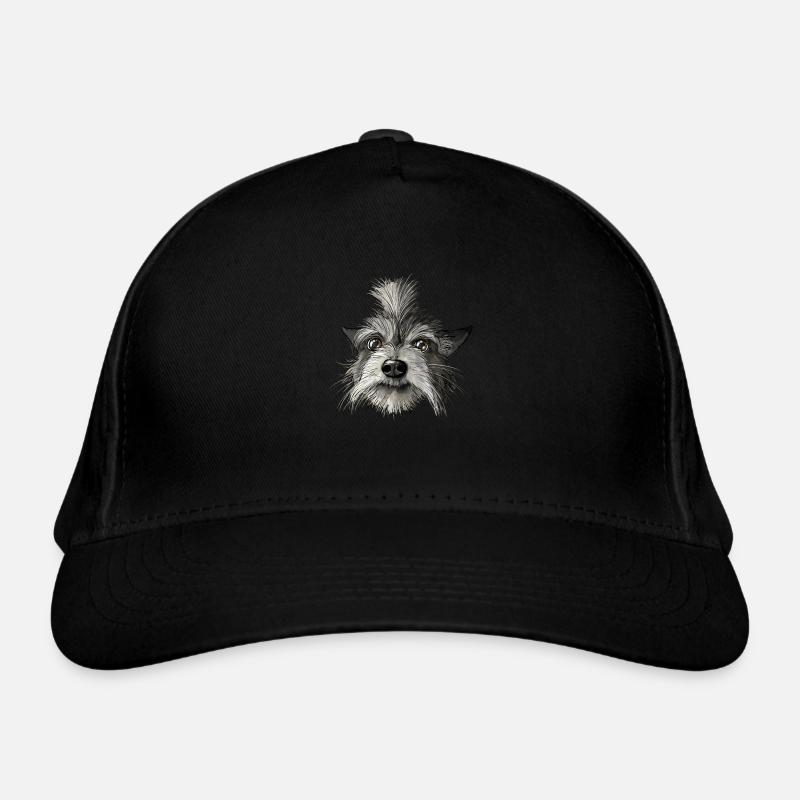 Felix Casquette classique bio