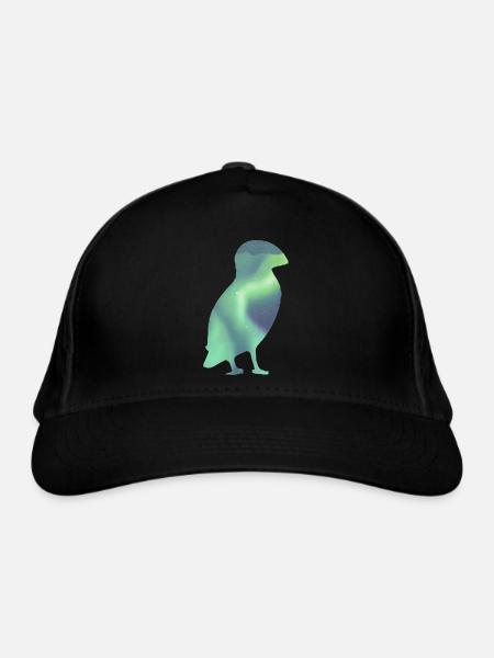 Puffin Island Papageitaucher Islande Aurora - Casquette classique bio - noir - Devant