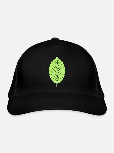 buche blatt baum pflanze form clipart design wald - Bio-Baseballkappe - Schwarz - Vorne