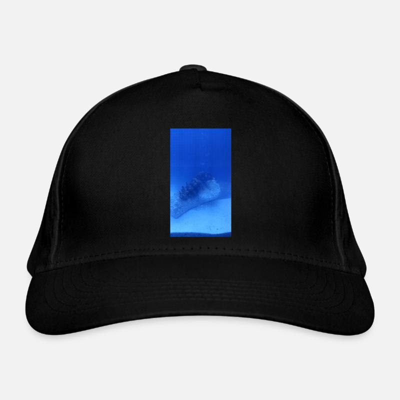 Casquette classique bio