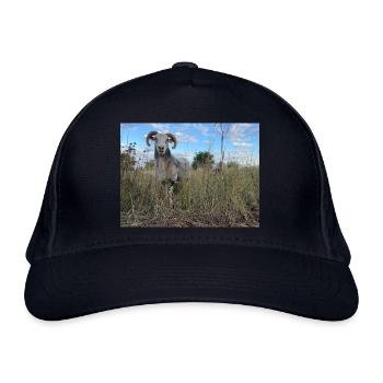 Goat - Bio-Baseballkappe - Navy - Vorne
