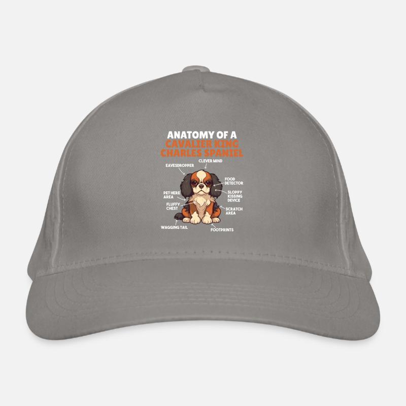 Explication du chien Anatomie d’un roi cavalier Casquette classique bio