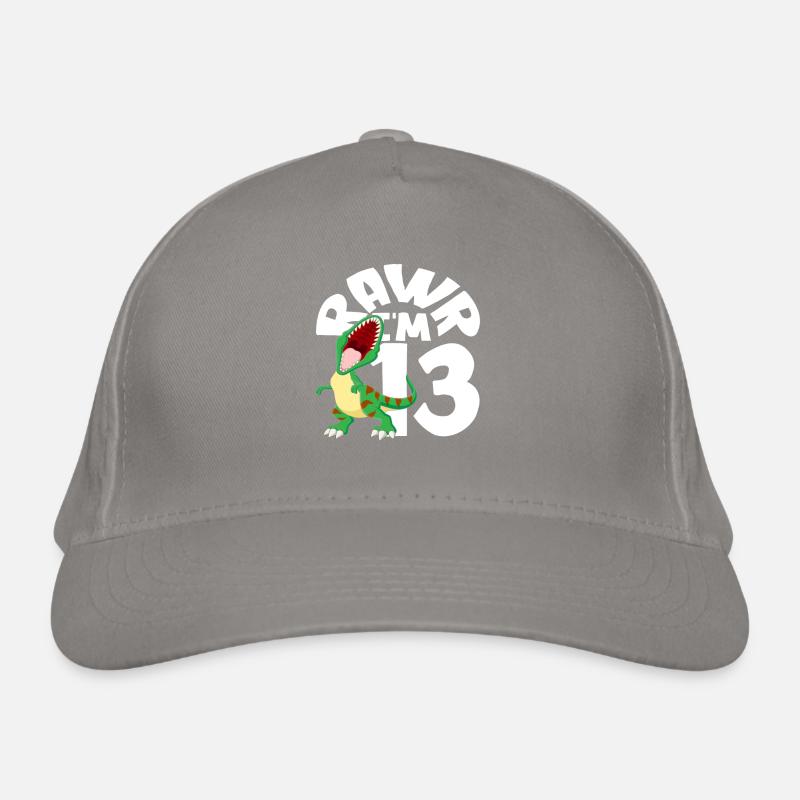 Rawr Ich Bin 13 Dinosaurier Geburtstag Bio-Baseballkappe