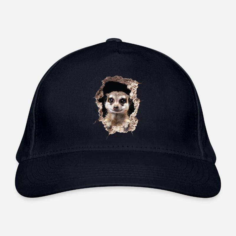 Suricate Casquette classique bio