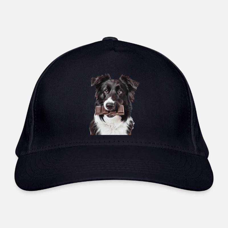 Border Collie Casquette classique bio