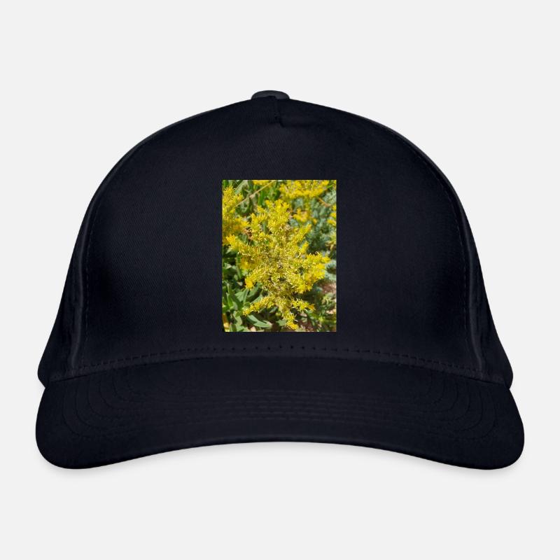Goldmoos-Mauerpfeffer auch Moos-Mauerpfeffer Sedum acre Bio-Baseballkappe