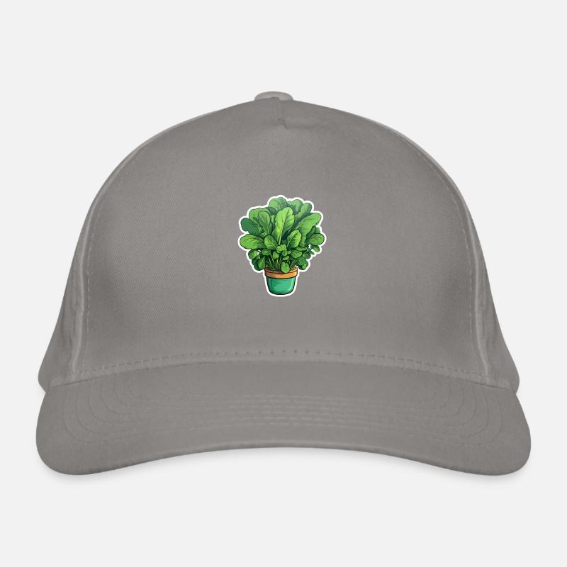 Épinards en pot Casquette classique bio