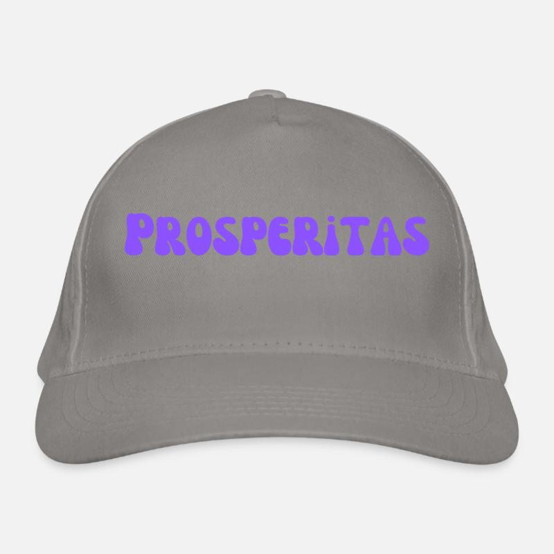 Prosperitas 💜 Success │ Power statement Organic Baseball Cap