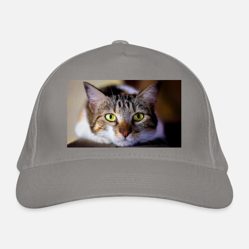 le chat au doux regard Casquette classique bio