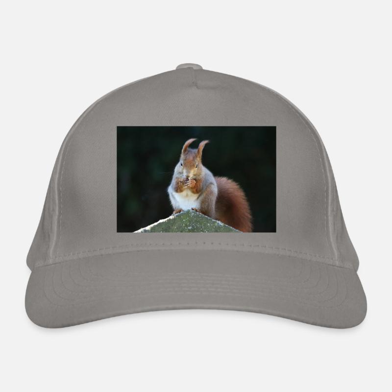 Eichhörnchen Bio-Baseballkappe
