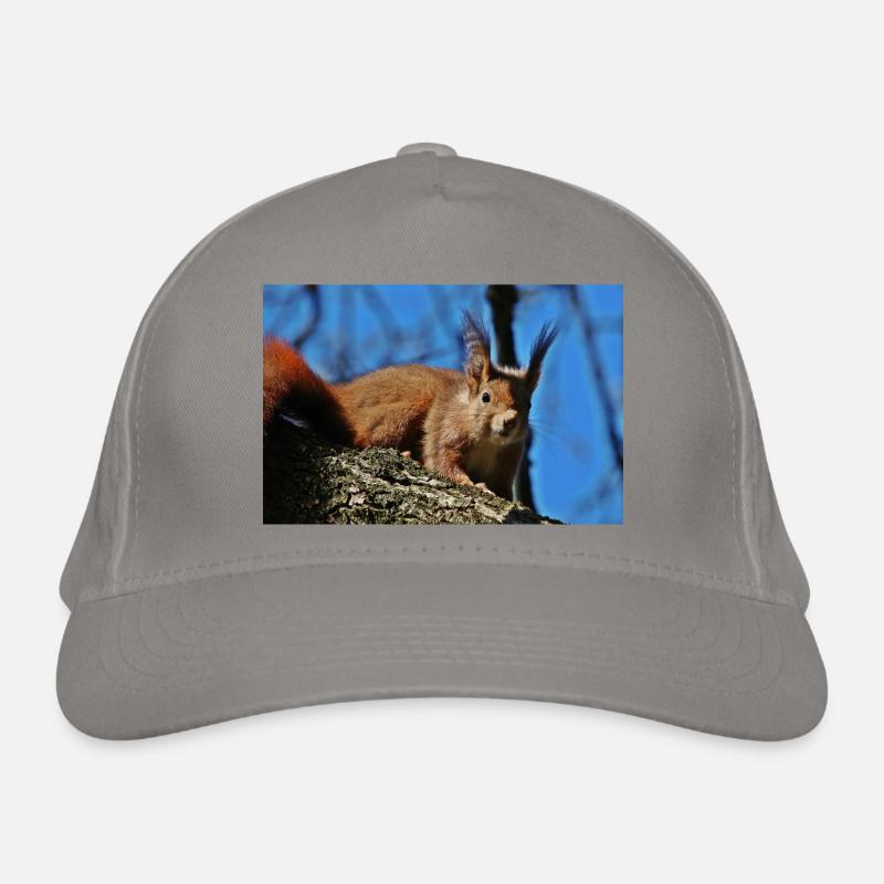 Eichhörnchen Bio-Baseballkappe