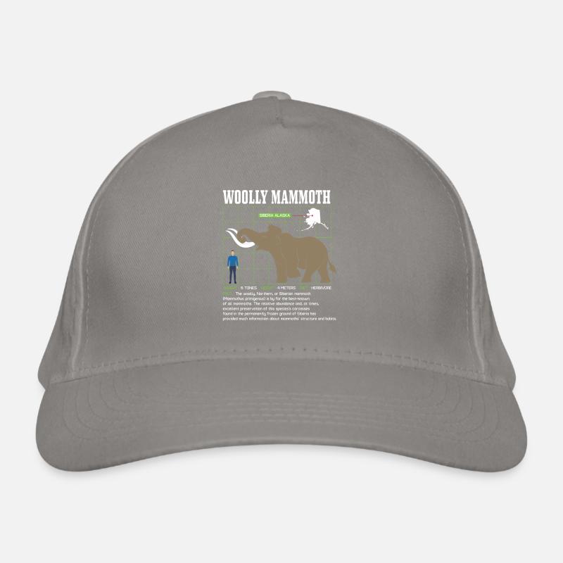 Mammoth Organic Baseball Cap