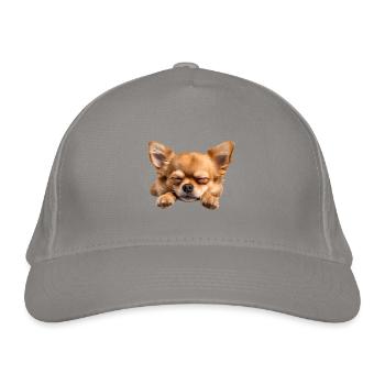Chihuahua - Bio-Baseballkappe - Hellgrau - Vorne