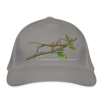 Indische Stabschrecke Carausius morosus - Bio-Baseballkappe - Hellgrau - Vorne