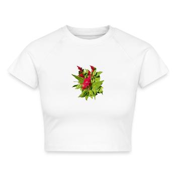 ROTE CELOSIEN - Cropped Frauen Organic T-Shirt - Weiß - Vorne - AI Model Female 172 dark (172cm)