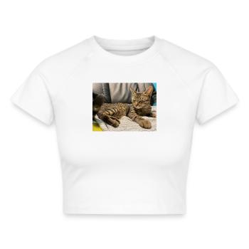 Gemütliche Tigerkatze im Licht - Frauen Cropped T-Shirt - Weiß - Vorne - Marisol (170cm)