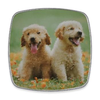 2 Labrador Retriever puppies in the flower field - Square fridge magnet - white - Front