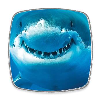Requin souriant sous l’eau - Magnet carré - blanc - Devant