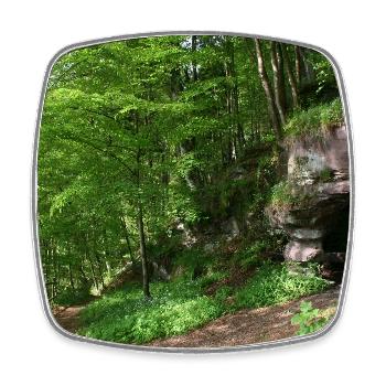 Northern Black Forest / Forest Cave - Square fridge magnet - white - Front