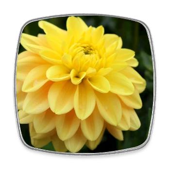 Dahlia fleur jaune, fleur - Magnet carré - blanc - Devant