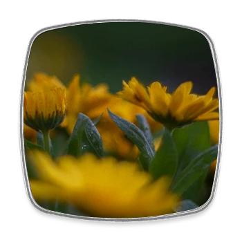 Des fleurs jaune vif s’épanouissent au milieu d’une feuille verte luxuriante - Magnet carré - blanc - Devant