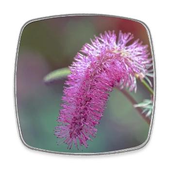 Pink Brushed Flower - Square fridge magnet - white - Front