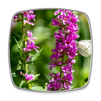Blüte mit Schmetterling - Viereckiger Kühlschrankmagnet - Weiß - Vorne