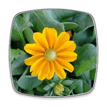 Gelbe Strahlenblüte - Viereckiger Kühlschrankmagnet - Weiß - Vorne