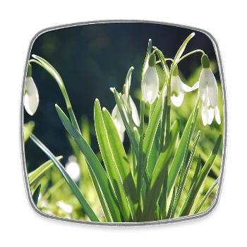 perce-neige printemps floraison design - Magnet carré - blanc - Devant