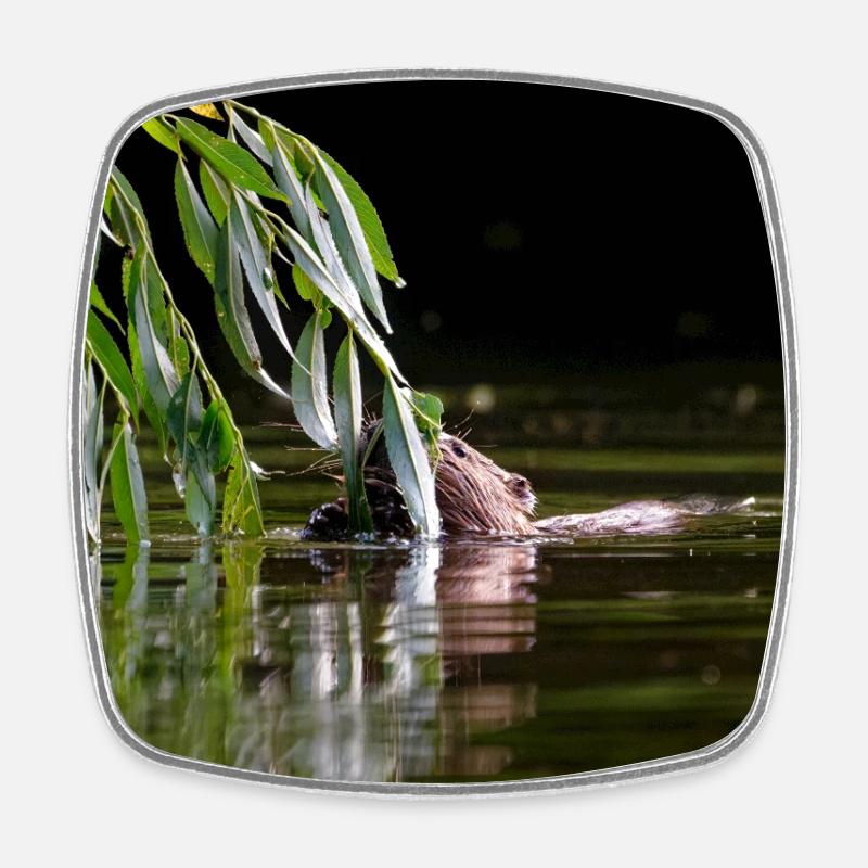 000_1106_DxO - Wild Beaver Eating Willow Leaves - Square fridge magnet - white