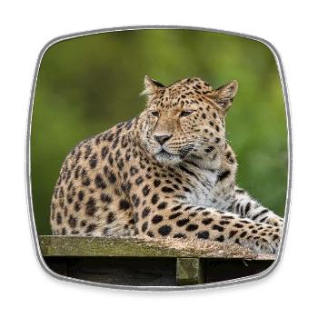 Leopard - Square fridge magnet - white - Front