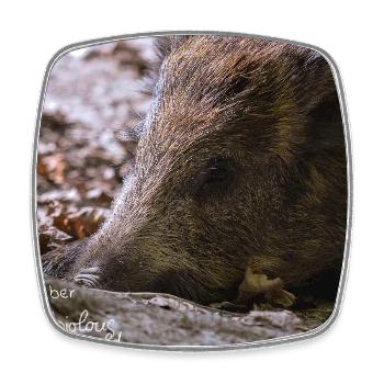 fabiolous world Schweinehund - Viereckiger Kühlschrankmagnet - Weiß - Vorne